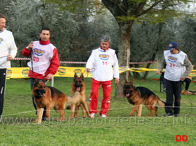 partenza-lavoro-maschi-zerxis-osterberger-land-momo-degli-achei-zip-di-ca-san-marco.jpg - Partenza Classe Lavoro maschi:  Zerxis Osterberger Land, Momo degli Achei e Zip di Ca' San Marco