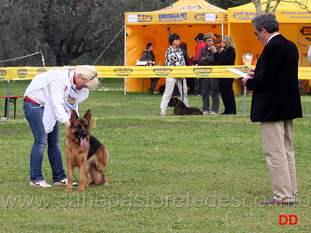 rocco-musolino-assistentati.jpg - Rocco Musolino durante gli assistentati (classe lavoro femmine) 