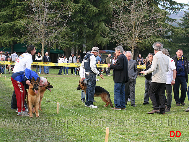 trofeo-franco-bordignon-02.jpg - Trofeo Franco Bordignon 