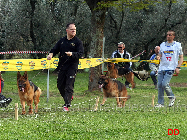 trofeo-franco-bordignon-moira-dei-colli-di-uzzano-yerom.jpg - I soggetti in lizza per l'assegnazione del Trofeo dedicato a Franco Bordignon : Moira dei Colli di Uzzano e Yerom 