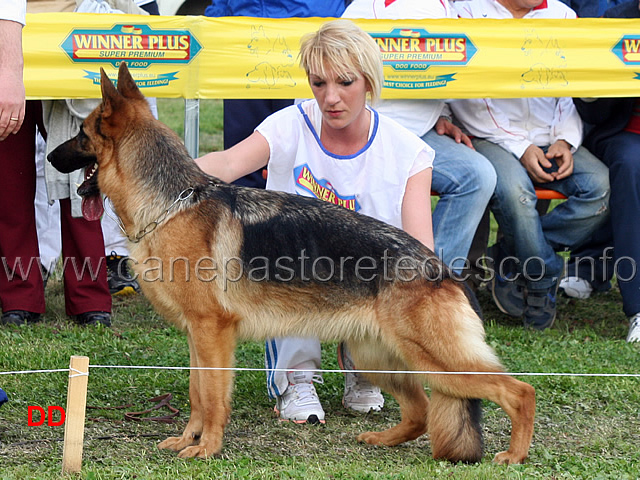 vanta-del-monte-poliziano-10mb-giovani-femmine.jpg - Vanta del Monte Poliziano 10 MB Giovani femmine 