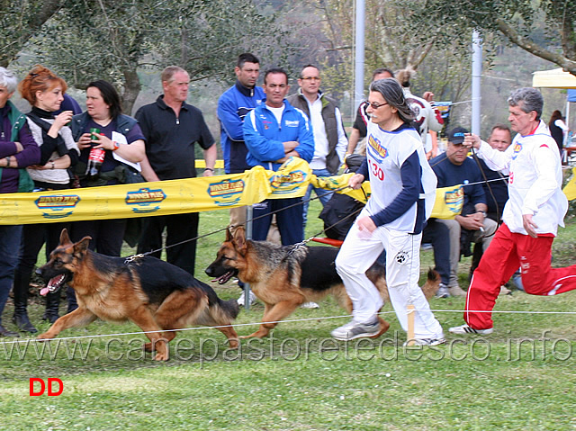 vello-ulmental-uran-del-caiatino.jpg - Vello Ulmental e Uran del Caiatino 