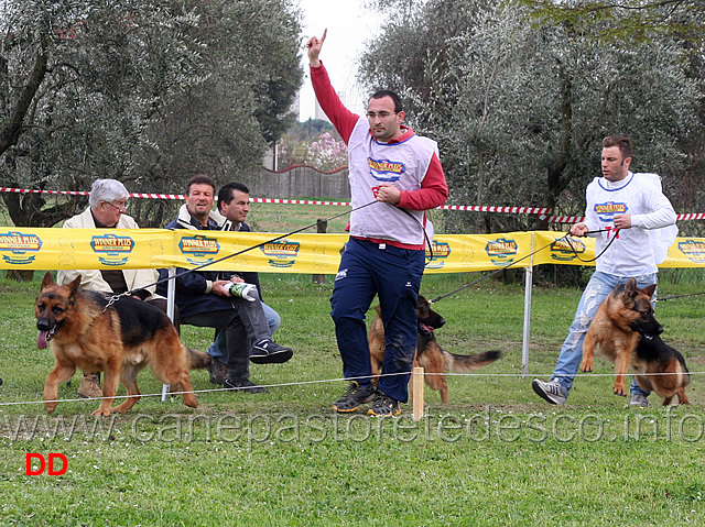 yago-della-grande-medina-artu-del-colle-janulo-roon.jpg - Yago della Grande Medina, Artù del Colle Janulo e Roon 