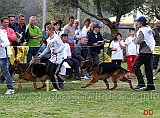 nero-della-gens-pontina-zip-di-ca-san-marco