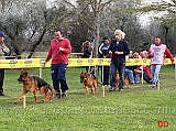 trofeo-franco-bordignon-quasar-della-madama-d-austria-aiko-delle-belle-torri-irina-di-ca-san-marco