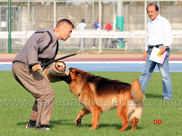 011.jpg - Ghandi dei Lupi della Maddalena