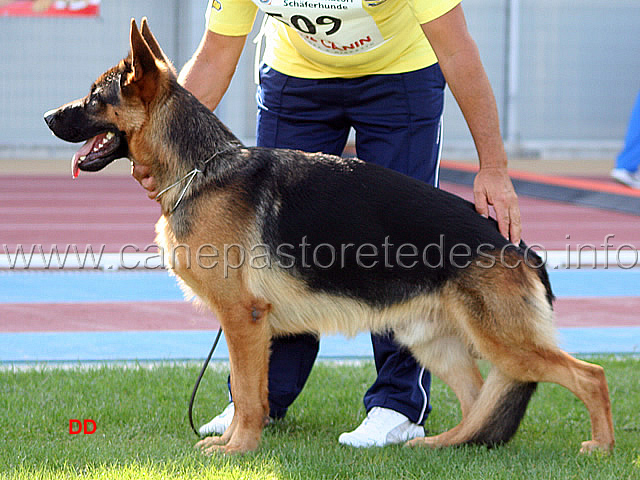 007.jpg - Vando di Zenevredo 8 Speranza SAS Giovanissimi maschi