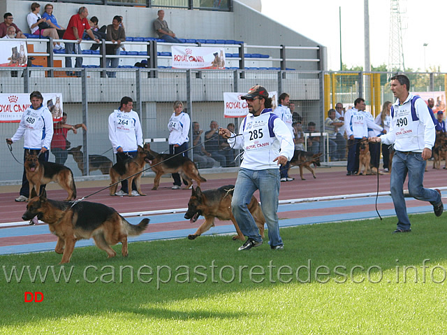 015.jpg - Gruppo di riproduzione di Hero di Camporeale