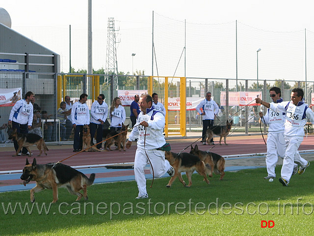 016.jpg - Gruppo di riproduzione di Hero di Camporeale