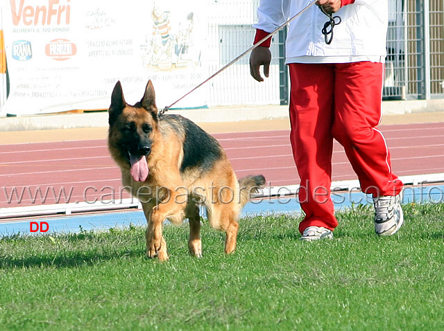 014.jpg - Bonnie dei Colli Storici 34 Ecc Adulte femmine