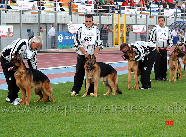 006.jpg - Gruppo di riproduzione di Hannibal Stieglerhof