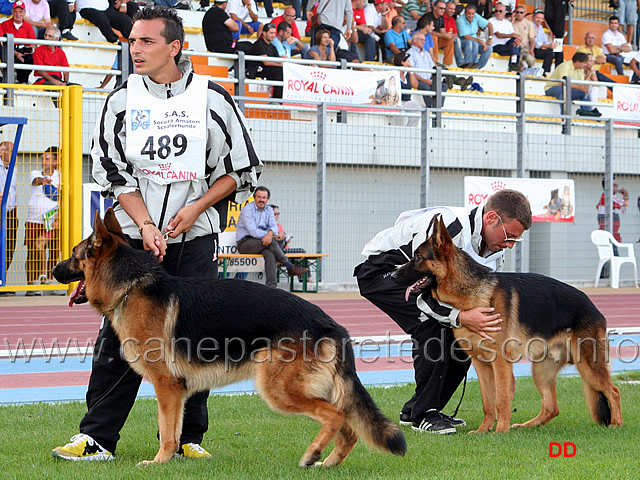 011.jpg - Paco di Ca' San Marco 7 Speranza SAS e Hannibal del Monte Saraceno 13 Cuccioloni maschi