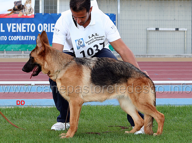 013.jpg - Conny di Cariddi 45 MP Juniores femmine