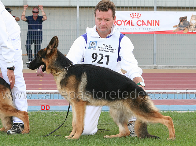 014.jpg - Cattivo F.D.D. 11 MP Juniores maschi