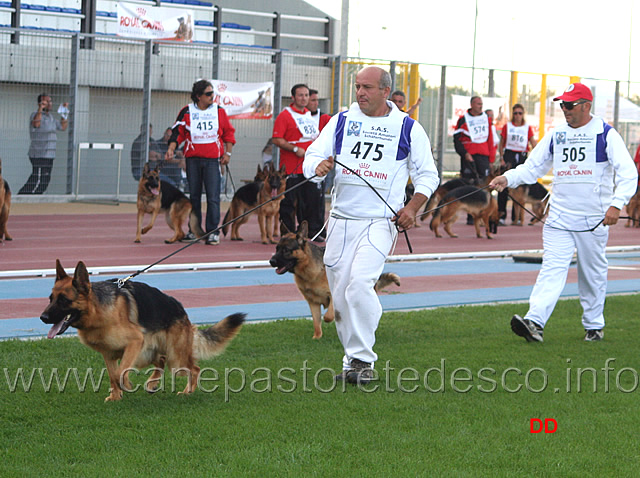 026.jpg - Hannibal di Casa Rosy e Uber dei Monti della Laga