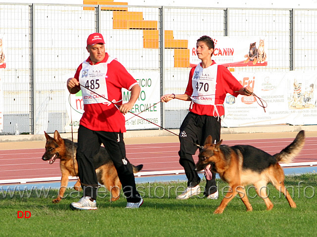 032.jpg - Nero della Gens Pontina 10 Speranza SAS e Flex Team Torretta 8 MB Giovanissimi maschi