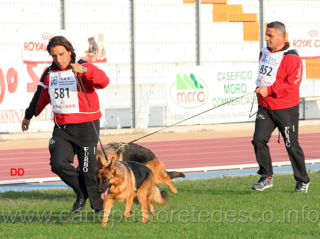 037.jpg - Fina Team Torretta 3 MB Giovanissime e Paola Colonne d'Ercole 23 MB Cucciolone femmine