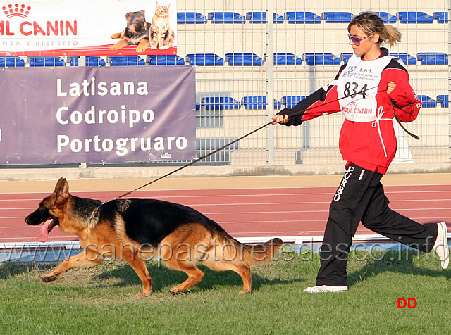 039.jpg - Linda degli Achei 4 MB Cucciolone femmine