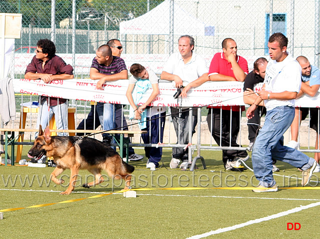 052.jpg - Partenza primo gruppo: Elien della Valle dei Rovi (26MP)