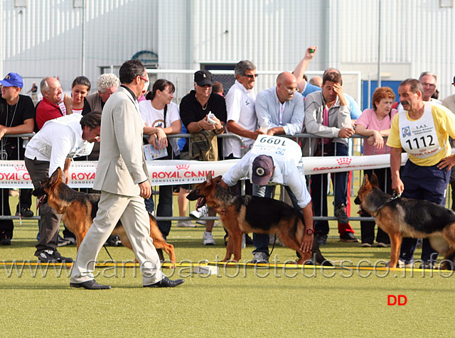 083.jpg - Il giudice Di Festa osserva con attenzione le prime classificate