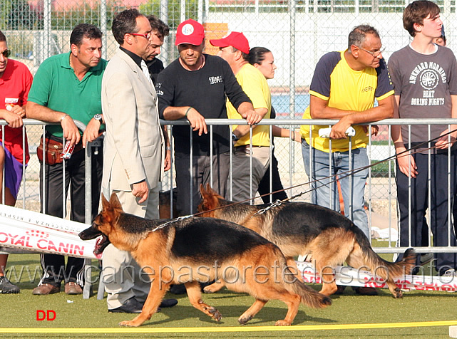 089.jpg - Patty di Casa Falbo e Atena di Casa Vizzato. Il giudice Di Festa osserva le correttezze