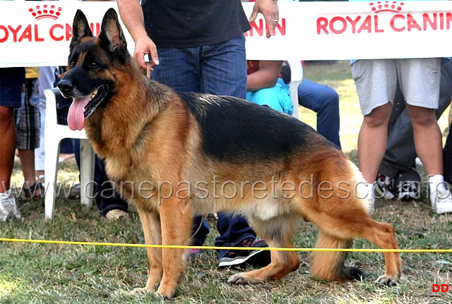 hero-di-camporeale-.jpg - Hero di Camporeale (foto Raduno SAS Brescia)