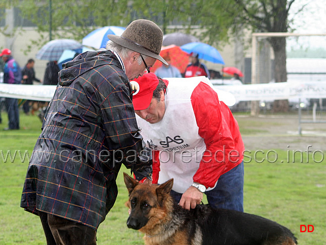 078.jpg - Il giudice Luigi Bricchi controlla i cani alla ferma