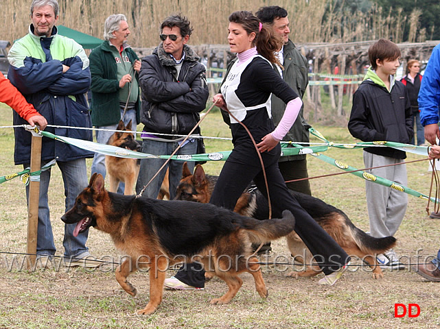 046.jpg - Classe Cuccioloni maschi 4 Thiago delle Tamerici Salmastre