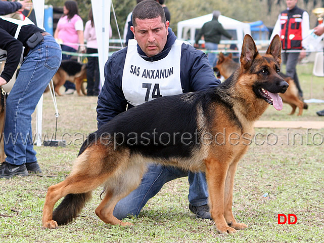 120.jpg - Giovani femmine 2 Cara della Genia Osca