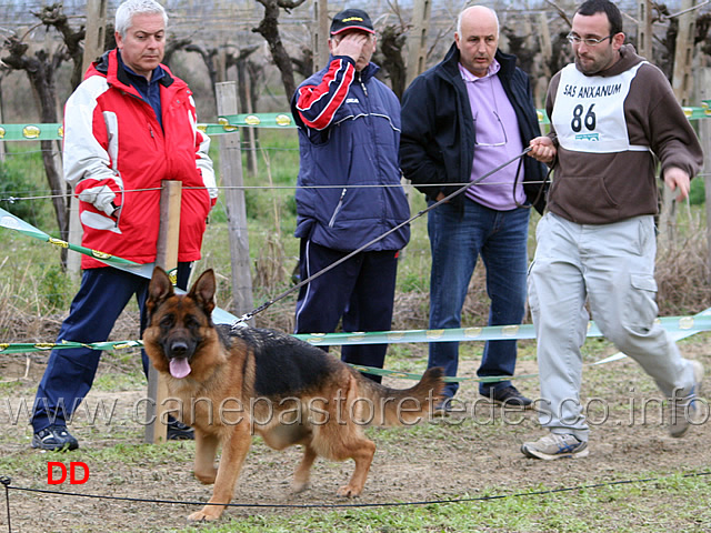 133.jpg - Classe Lavoro femmine 1 Furba degli Arvali