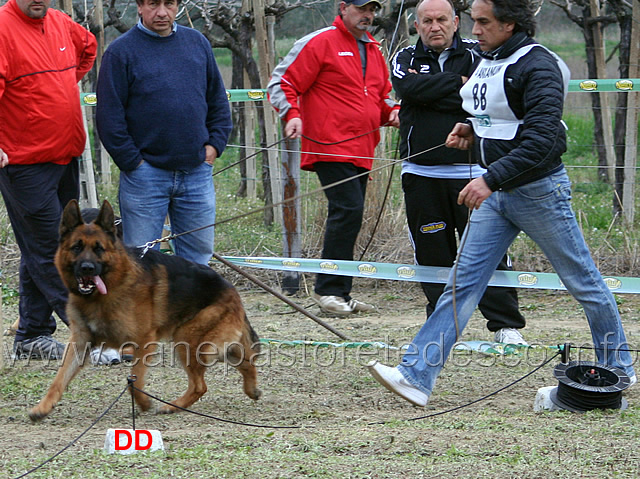 148.jpg - Classe Lavoro maschi 2 Lapo dei Monti della Laga