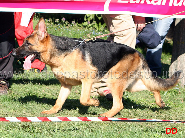 016.jpg - Classe Juniores femmine 8 Pati von Grafenbrunn