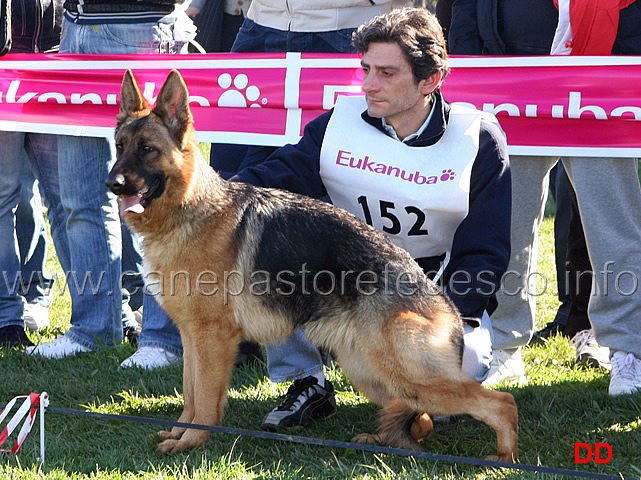 037.jpg - Classe Juniores femmine 9 Arpa di Casa Cip