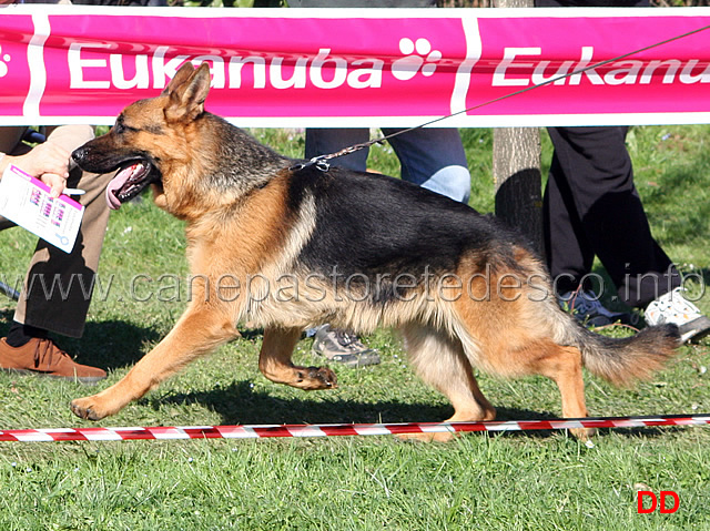 104.jpg - Classe Cuccioloni maschi 3 Harro Team Torretta