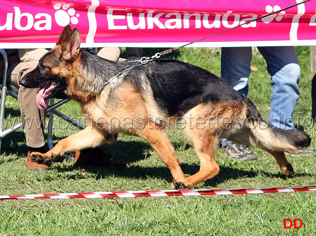 105.jpg - Classe Cuccioloni maschi 4 Athos