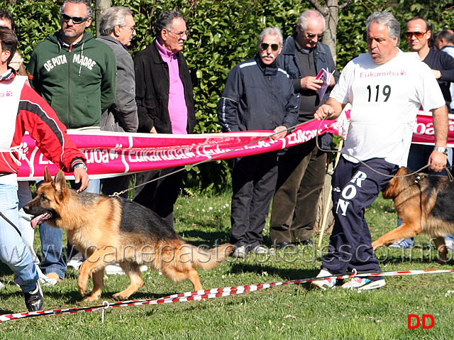 110.jpg - Classe Cuccioloni maschi 5 Gimmy degli Arvali