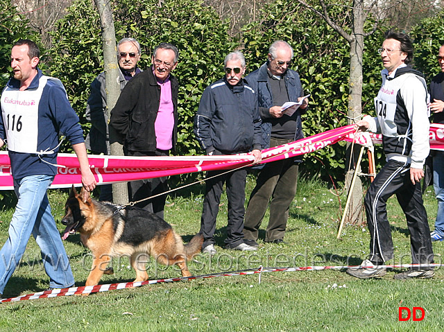 115.jpg - Classe Cuccioloni maschi 2 Karol dei Lotito