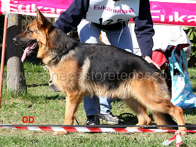 121.jpg - Classe Cuccioloni maschi 3 Harro Team Torretta