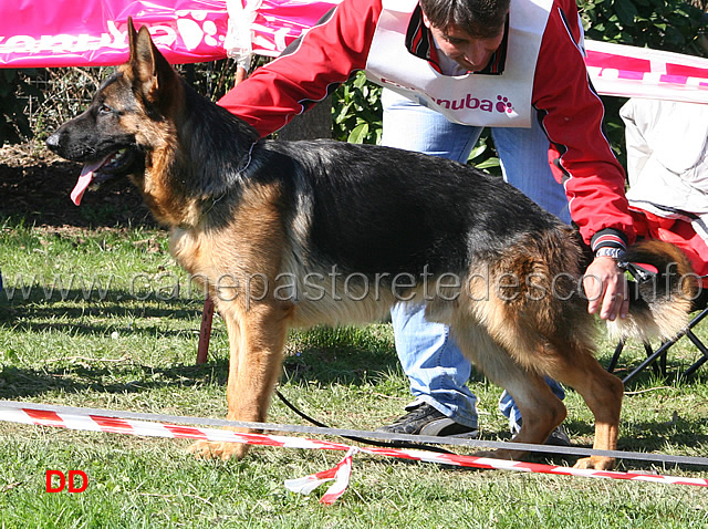 122.jpg - Classe Cuccioloni maschi 4 Athos