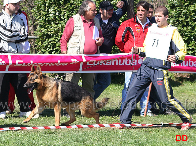 089.jpg - Classe giovanissimi maschi 9 Quenn di Casa Giovannini