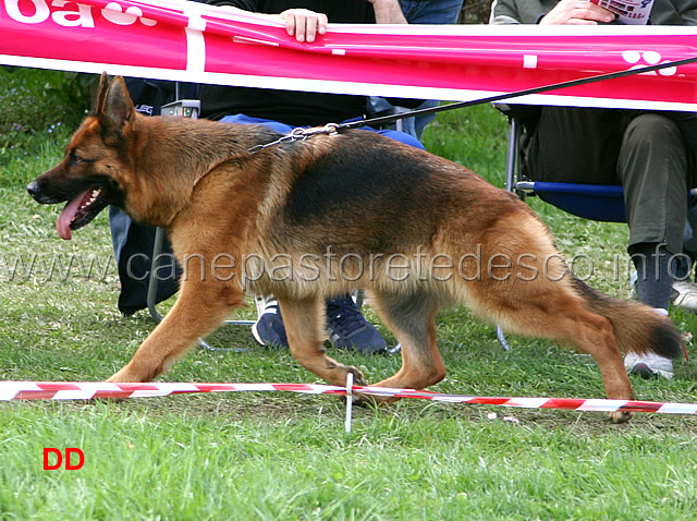 021.jpg - Classe Lavoro femmine 1 Blanka della Gens Pontina