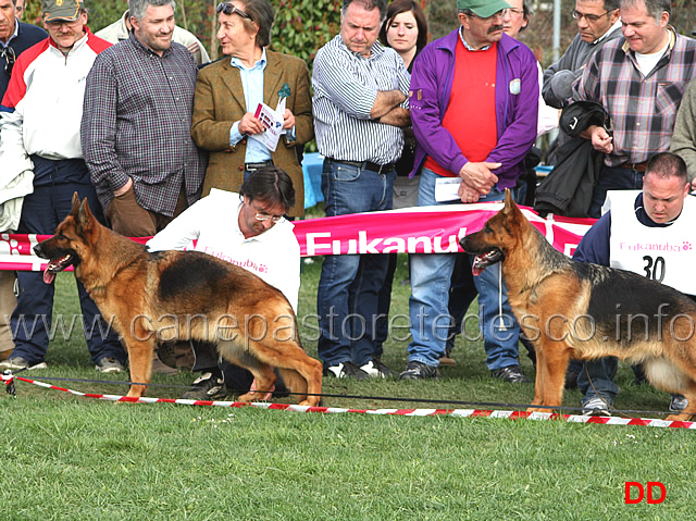 032.jpg - Classe Lavoro femmine 1 Blanka della Gens Pontina e 2 Gugia dei Colli di Uzzano