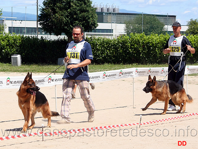 044.jpg - Classe giovanissimi maschi: Roch del Catone, Bax di Camporeale