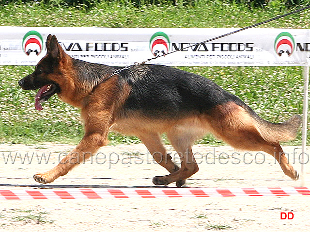 053.jpg - Classe giovanissimi maschi: Roch del Catone