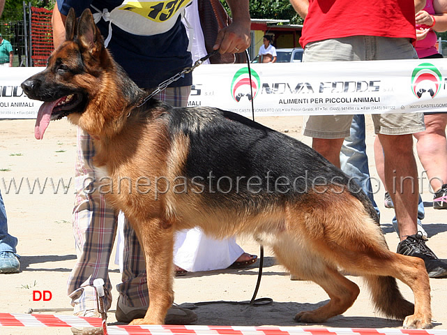 055.jpg - Classe giovanissimi maschi: 1 Roch del Catone