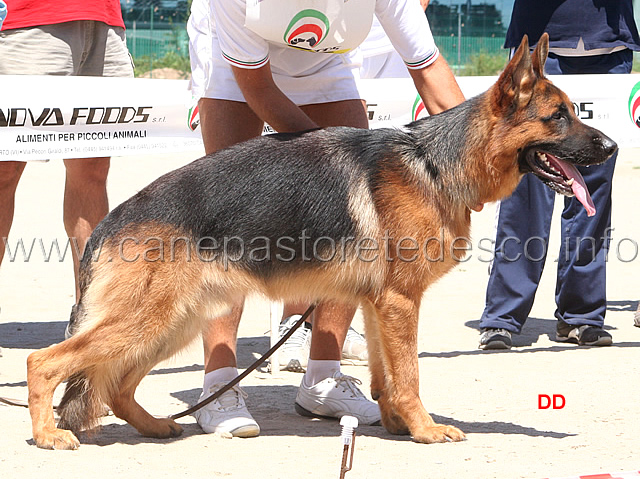 057.jpg - Classe giovanissimi maschi: 3 Pier Alpe Adria