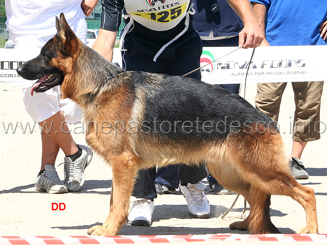 059.jpg - Classe giovanissimi maschi: 5 Bax di Camporeale