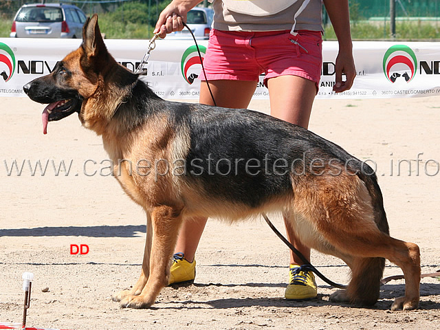 072.jpg - Classe giovani femmine:1 Agata vom Webachtal