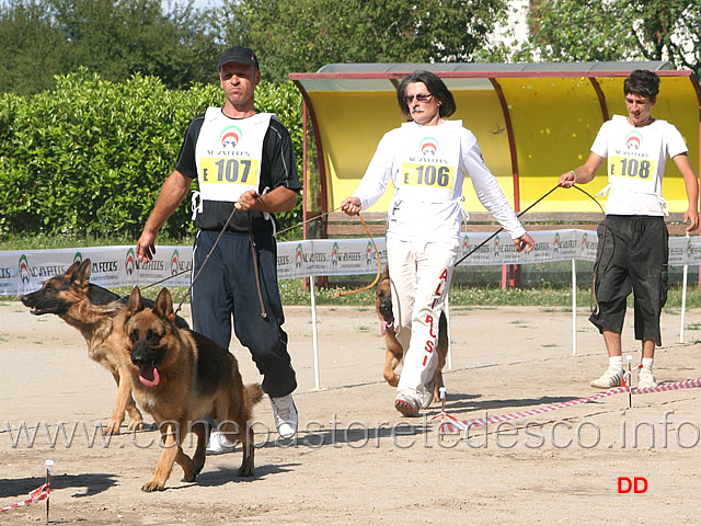 110.jpg - Classe lavoro maschi:Barone Ambra Selvaggia, Kriss Croce Santo Spirito, Genny Valentinientis