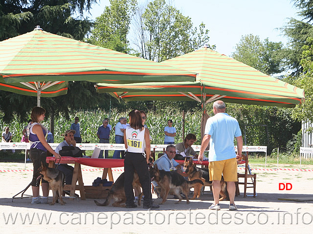 129.jpg - in attesa della gara all'ombra dei gazebo